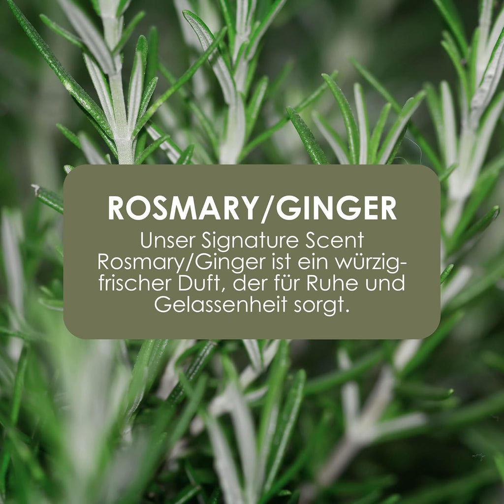 Jean & Len Hand & Body Wash Rosemary Und Ginger Im Nachfüllbeutel, Reinigt Und Pflegt Die Haut, Würzig-Frischer Duft, Flüssigseife Im Nachfüllpack, Ohne Silikone & Parabene, 1,5L