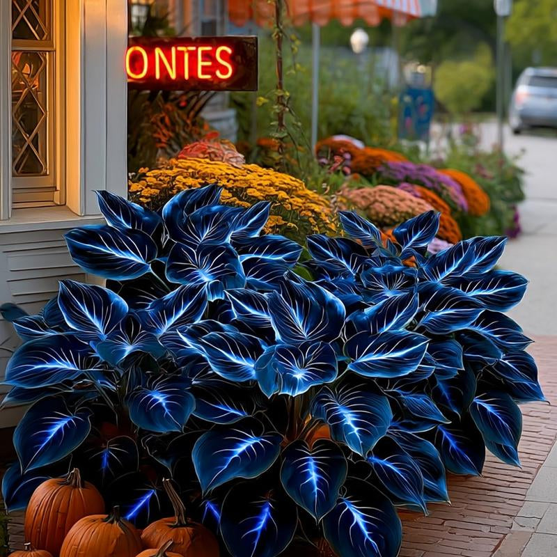 Hosta Seeds 800 Pcs Vibrant Blue Leaves for Shaded Areas Easy Care Greenery Perennials Ideal for Gardeners Perfect for Summer Greenery