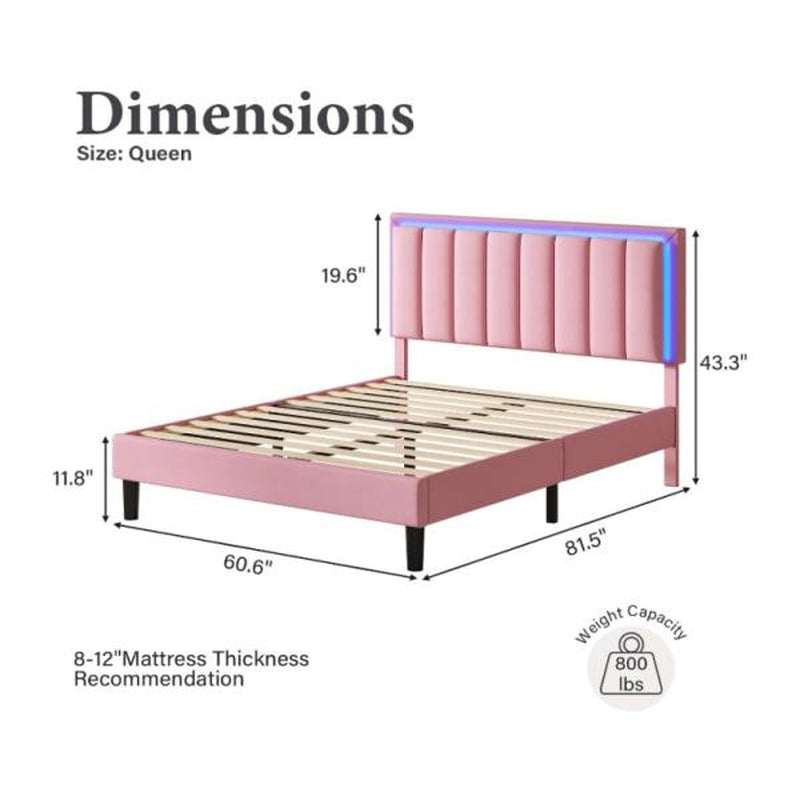 HOMBCK Led Bed Frame, No Mattress, Soft Modern Bed Frame with Luxury Leather Headboard, APP Adiust the Light, No Box Spring Needed