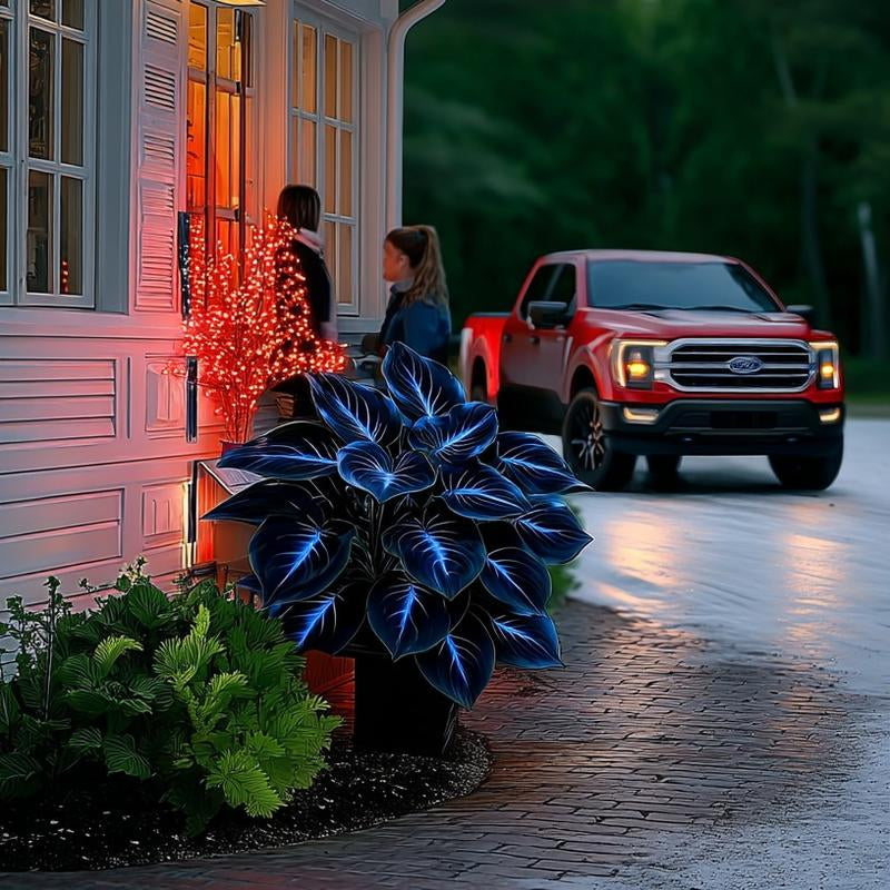 Hosta Seeds 800 Pcs Vibrant Blue Leaves for Shaded Areas Easy Care Greenery Perennials Ideal for Gardeners Perfect for Summer Greenery